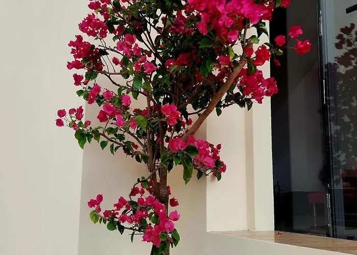 Quân Phát Biệt thự Phan Thiết