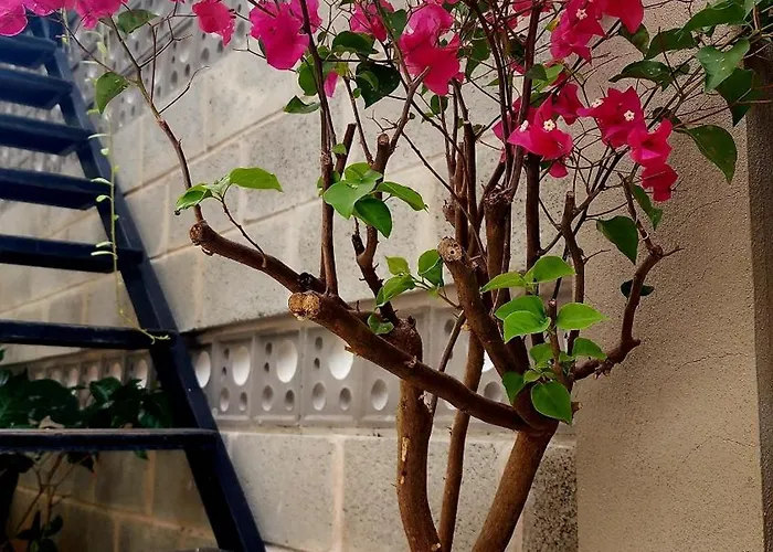 Quân Phát Biệt thự Phan Thiết